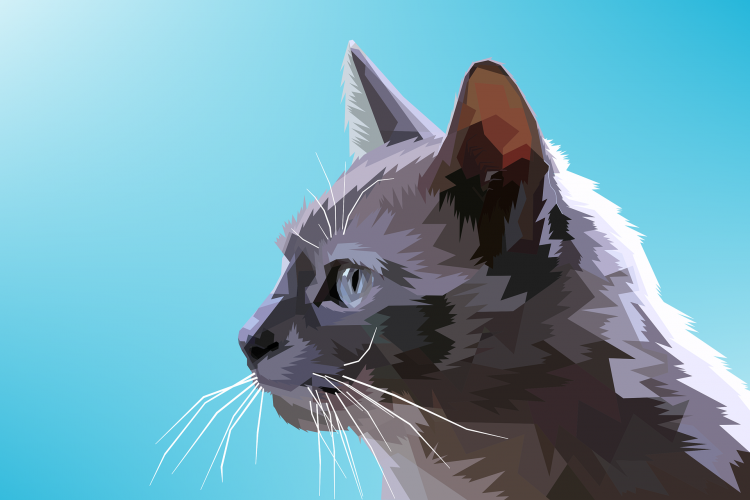 Animal colorful digital prints