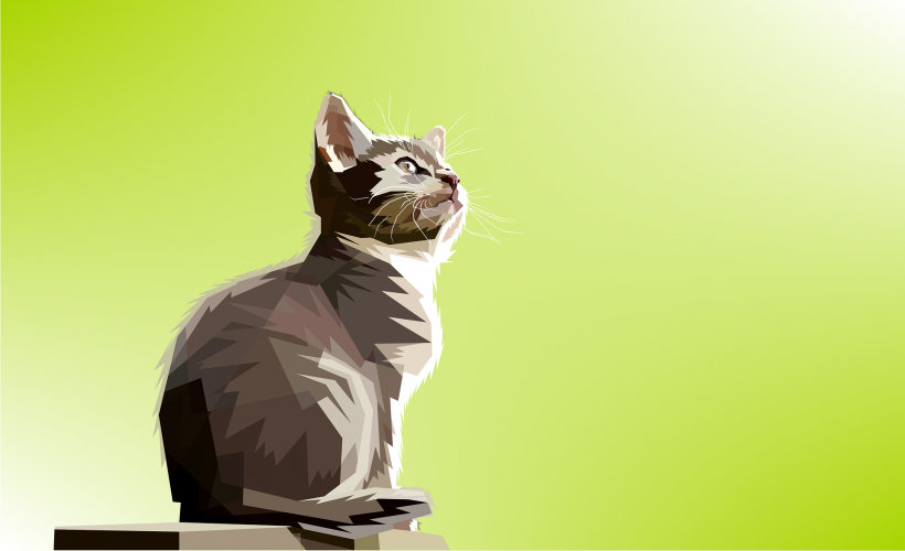 Animal colorful digital prints